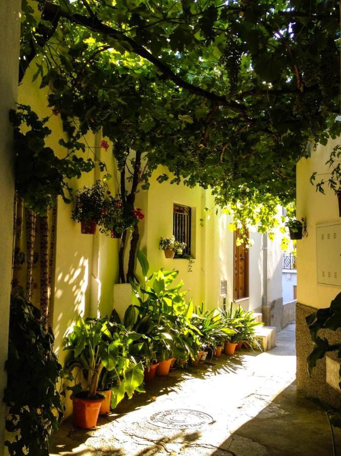 Casa Corasol, A Cozy, Comfy, 2Br House- Panoramic View And Rooftop Canar Ngoại thất bức ảnh